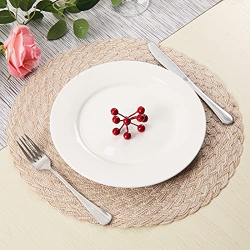 SHACOS Round Braided Placemats Set of 6 Washable Round Placemats for Kitchen Table 15 inch Round Table Mats (Beige, 6)