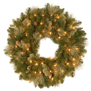 24" Carolina Pine Wreath with Battery Operated LED Lights