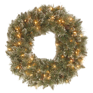 24" Glittery Bristle Pine Wreath with Battery Operated Warm White LED