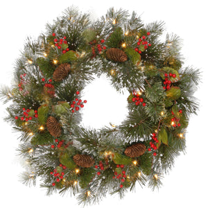 24" Wintry Pine Wreath with Battery Operated Warm White LED Lights