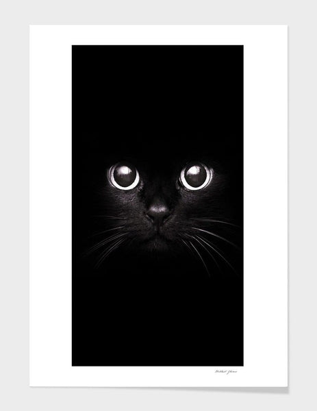 The Black Cat  Frame