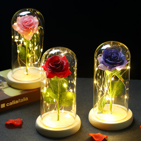 LED Enchanted Galaxy Rose Eternal 24K Gold Foil Flower with Fairy String Lights In Dome for Weeding