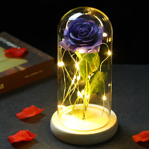 LED Enchanted Galaxy Rose Eternal 24K Gold Foil Flower with Fairy String Lights In Dome for Weeding